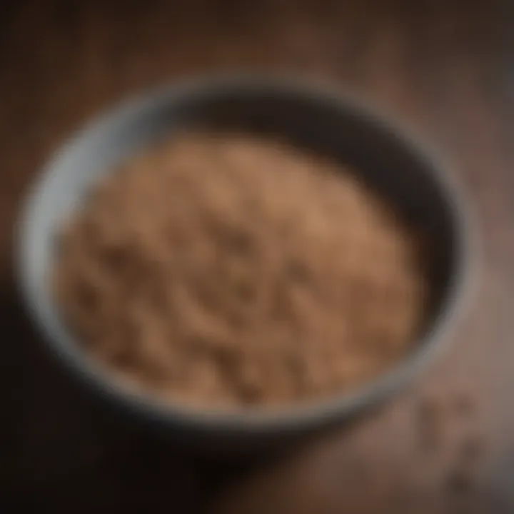 Close-up of a bowl filled with bland dog food