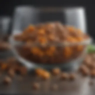 A range of dog food options showcasing dietary variations