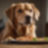 A healthy dog enjoying a balanced meal, showcasing optimal nutrition.