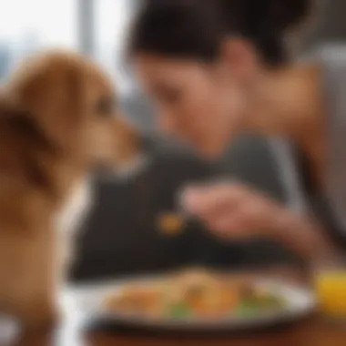 A pet owner observing their dog's eating habits attentively