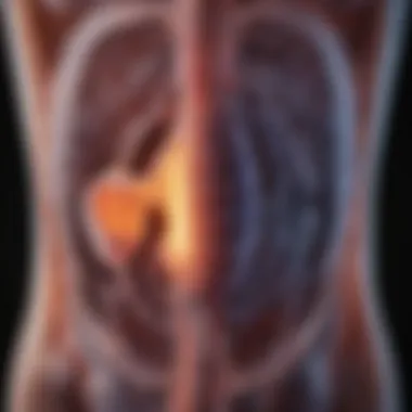 An X-ray image showing an intestinal blockage in a pet