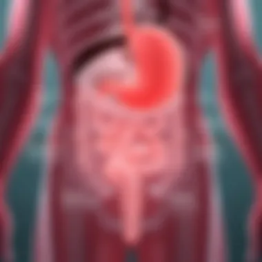 A diagram detailing medical interventions for bowel obstruction management.