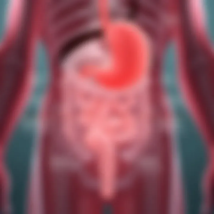 A diagram detailing medical interventions for bowel obstruction management.