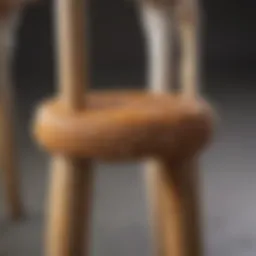 A close-up of a dog's stool showing signs of runniness