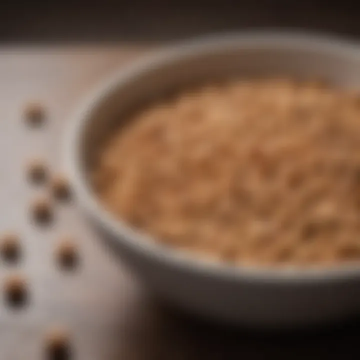 Close-up of dog food bowl, emphasizing nutrition's role in digestive health