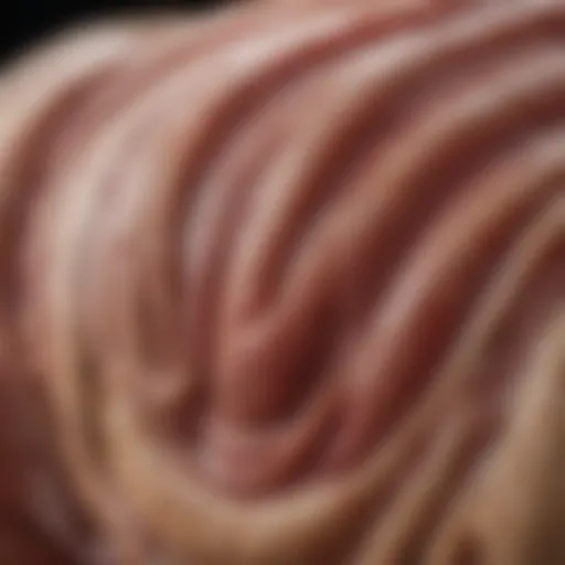 A close-up of a dog's stomach area, indicating digestive concerns