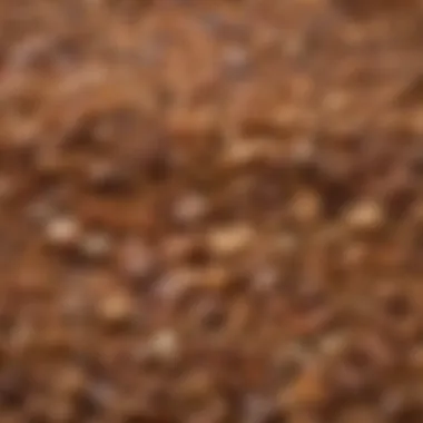 A close-up of dog food ingredients