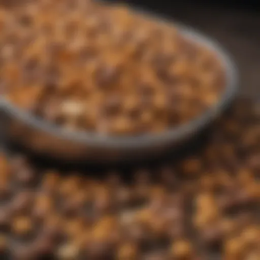 Close-up of healthy pet food with ingredients