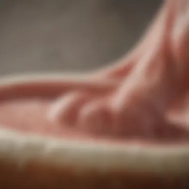 Close-up of a pet's stool indicating health status.