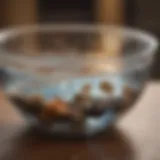 A close-up image of a pet's bowl with fresh water, highlighting hydration importance.