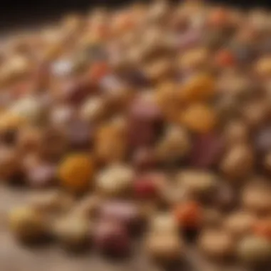 Close-up of dog food highlighting ingredients