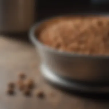 Quality Diet and Its Impact on Pet Health A close-up view of a pet's food bowl with high-quality dry kibble, showcasing the importance of diet in pet health.