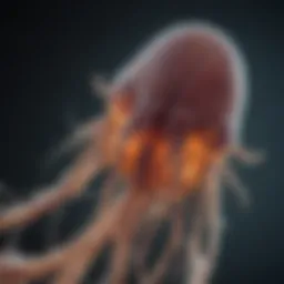 Microscopic view of Giardia parasite