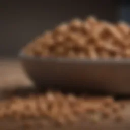 Close-up of dog food highlighting potential dietary intolerances
