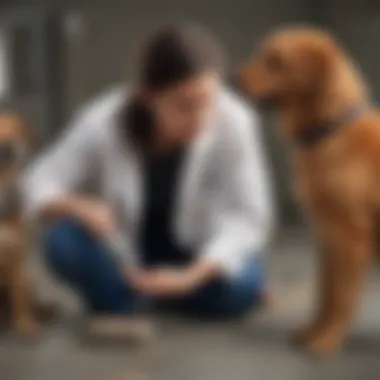 Veterinarian examining a dog with diarrhea