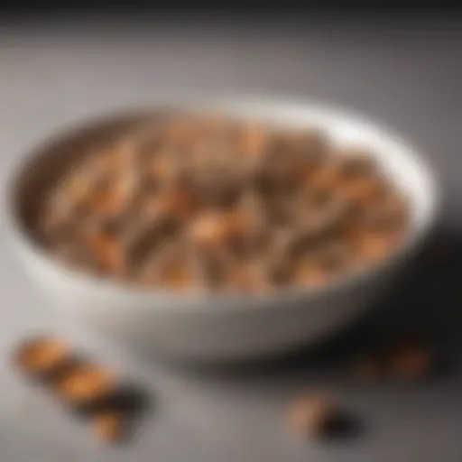 Close-up of a dog's bowl filled with bland diet food