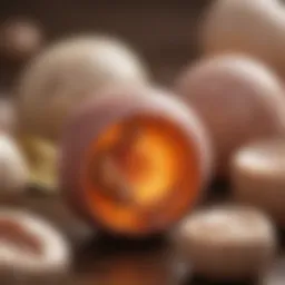 Close-up of a pet's urinary tract illustrating bladder stones