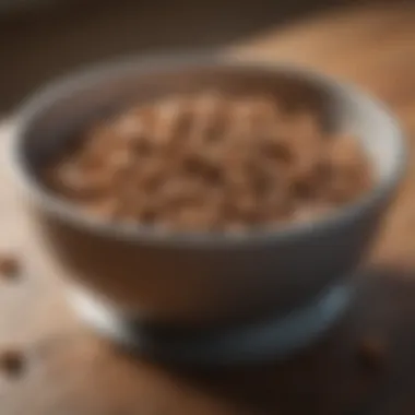 Close-up of a healthy puppy food bowl