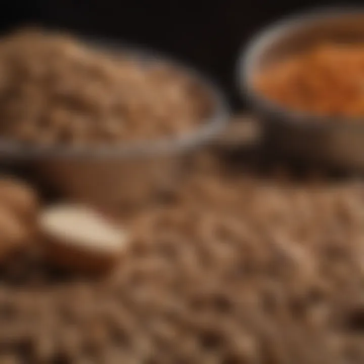 A close-up of dog food showing different ingredients.