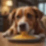 A dog experiencing gastrointestinal distress, showcasing signs of discomfort.