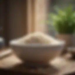 A bowl of plain rice, a gentle option for dogs with digestive upset.