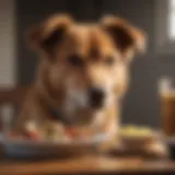 A healthy dog enjoying a balanced meal to promote digestive health