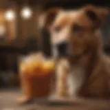 Nutritional options for dogs with diarrhea